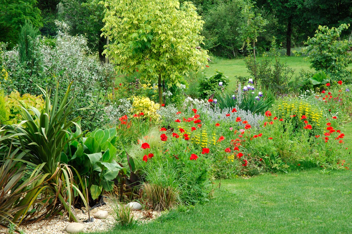 Jardin en été bien entretenu